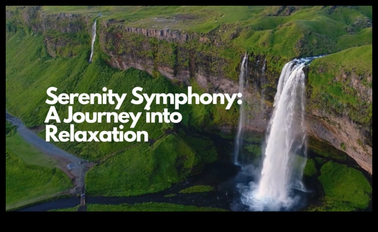 Serenity Symphony: Harmonizing Life with Stress Relief