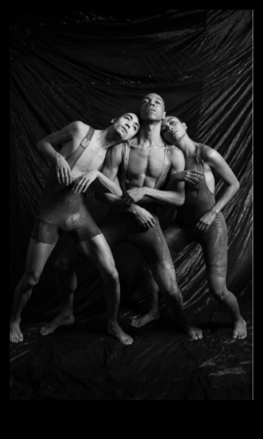 Black Hole Ballet: Graceful Movements in the Astrophysical Dance