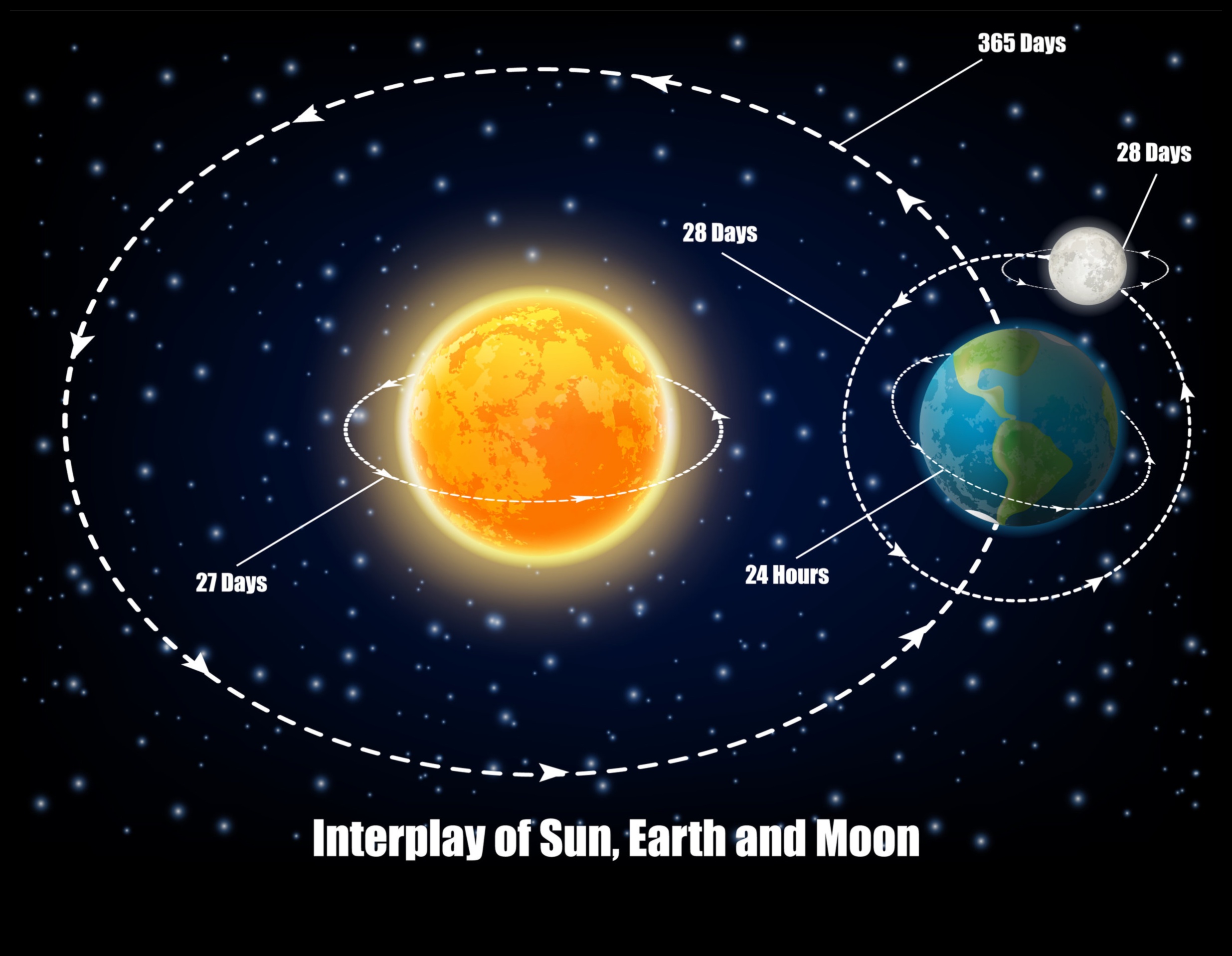 Cosmic Forces: The Balletic Interplay of Gravity in Space