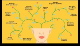 Mindful Living: Ξεκλείδωμα των καθημερινών σωματικών ανταμοιβών των πρακτικών διαλογισμού