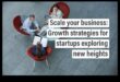 Startup Zenith: Reaching New Heights in Entrepreneurship