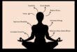 Wellness Unleashed: The Synergy of Meditation and Physical Health