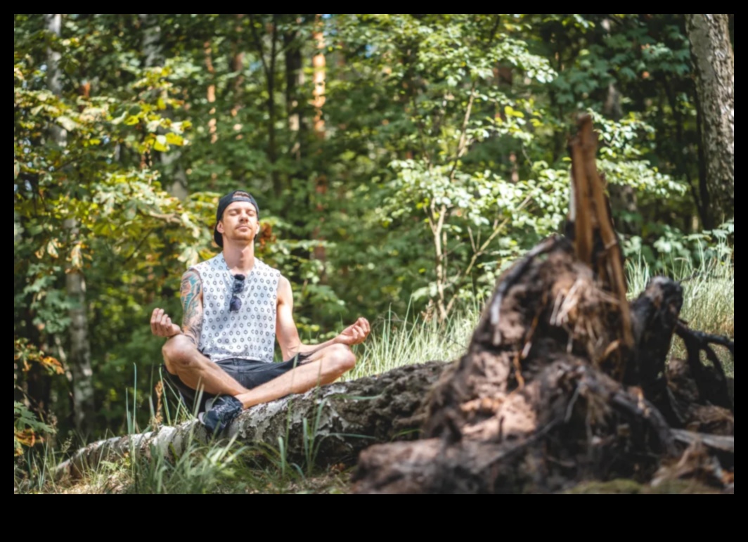 Καλλιέργεια ηρεμίας Οδηγός για αρχάριους για διαλογισμό Πώς να βρείτε ειρήνη και ηρεμία σε έναν χαοτικό κόσμο 1 Καλλιέργεια ηρεμίας: Οδηγός για αρχάριους για διαλογισμό