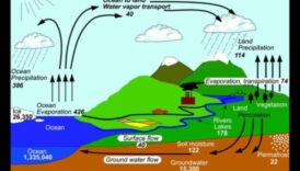 Ουράνια Βροχές: Η Επιρροή των Μετεωροειδών στη Γαλαξιακή Υδρολογία